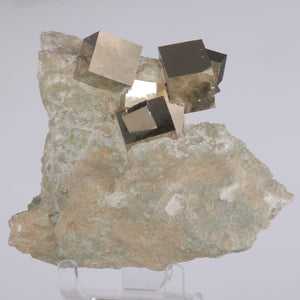 Pyrite Cluster in host rock from spain