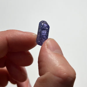 small tanzanite in hand for size