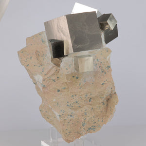 Raw Pyrite Cubes from Spain on Rock
