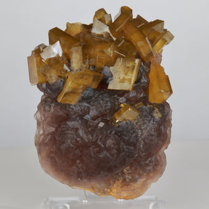 golden brown barite crystal cluster on fluorite