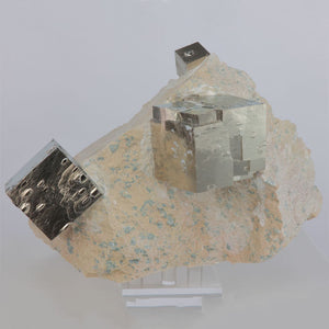 Pyrite Cubes on Rock