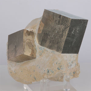 Raw Pyrite Cubes from Spain
