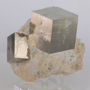 Cubic Pyrite on Host Rock
