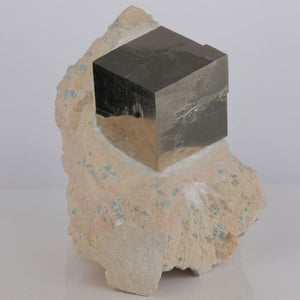 Pyrite on Limestone Matrix