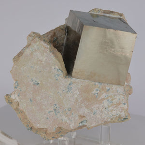 Spanish Pyrite Mineral Specimen on Host Rock Limestone