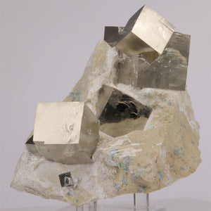 Pyrite Crystal Cubes on Rock