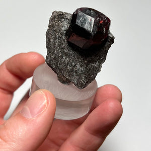 size of garnet in hand raw