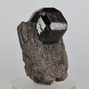 alaskan almandine in schist