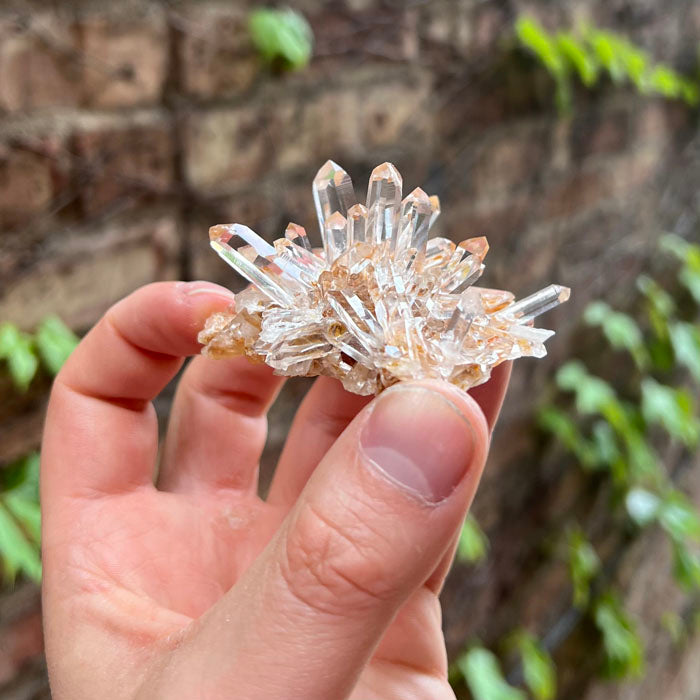 Clear Quartz Crystal Specimen Colombia