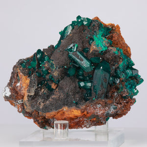 Dioptase crystal specimen green gemmy