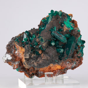 Dioptase Crystal Specimen on host rock
