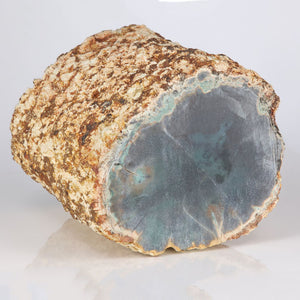 Petrified wood for slabbing