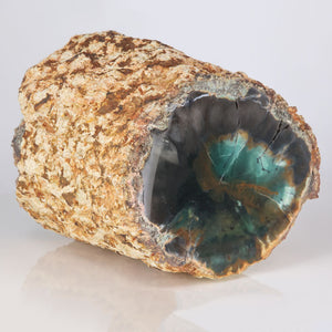 Chrome Fossil wood from Africa Green