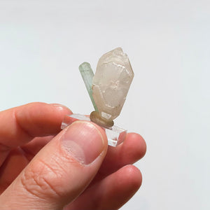 Minty Green Tourmaline Crystal on Double Terminated Quartz - Mavi Pegmatite Afghanistan 11.55 Grams