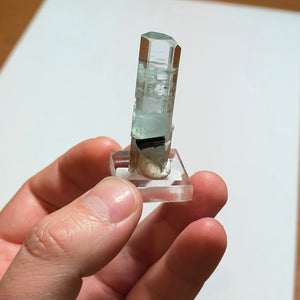 Aquamarine Crystal with Black Tourmaline Inclusion Shigar Mine Pakistan 13.71 Grams