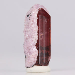 Brazil pink Tourmaline with Lepidolite crystal