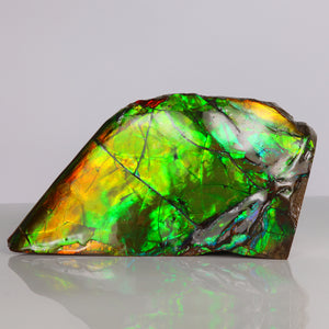 Canadian Ammolite Green Red Orange