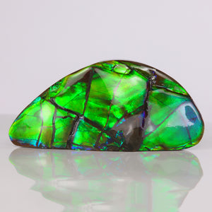 Green ammolite specimen palm size