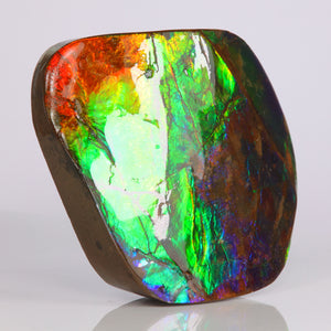 Ammolite Canada