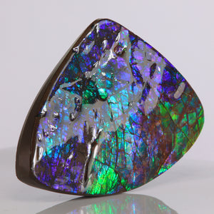 blue ammolite fossil from canada