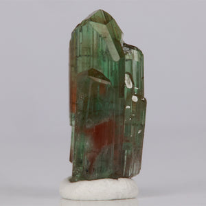Green Tourmaline Crystal Specimen Brazil