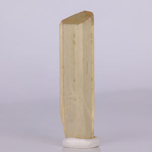Golden scapolite crystal from Morogoro Tanzania long transparent specimen