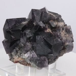 Purple Rain Fluorite Glows in Sunlight