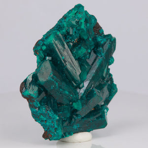 dioptase crystals congo