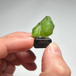 Hand holding a green crystal on a black stand against a white background