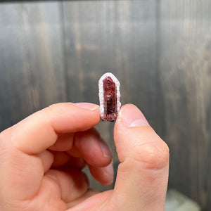 Pink tourmaline and lepidolite crystal