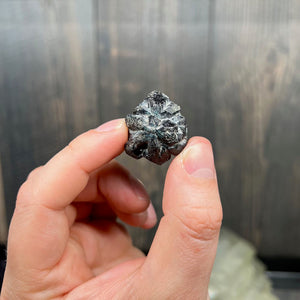 Alexandrite Crystal Mineral Specimen from Zimbabwe