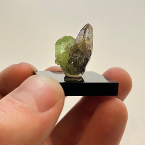 Unheated tanzanite crystal with green diopside from Tanzania in hand