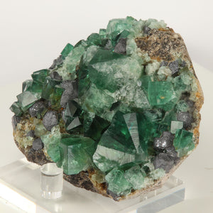 Fluorite crystal specimen england greedy hog