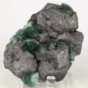 Diana MAria fluorite galina specimen
