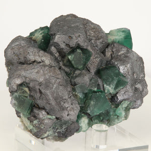 Fluorite and Galena