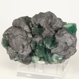 Galena and fluorite crystal specimen greedy hog pocket england