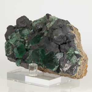 Fluorite and Galena Greedy Hog