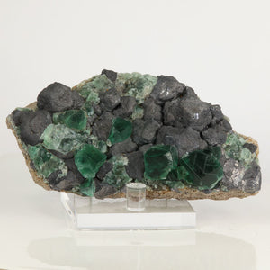 Greedy Hog Fluorite and Galena Specimen