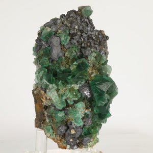 Greedy Hog Pocket Daylight Fluorescent Fluorite