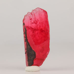 Pink rhodonite specimen with contrasting black mineral areas
