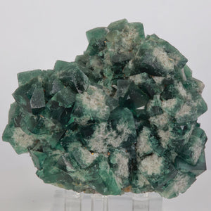England Greedy Hog Green Fluorite Crystal Specimen