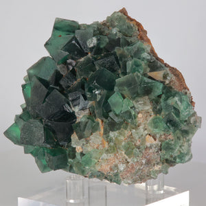 greedy hog pocket fluorite england