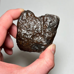 Aletai Meteorite