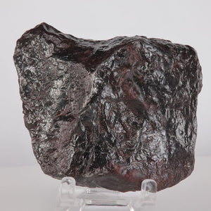 Aletai Iron Meteorite
