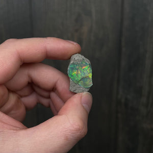Dark Base Welo Ethiopian Opal Specimen