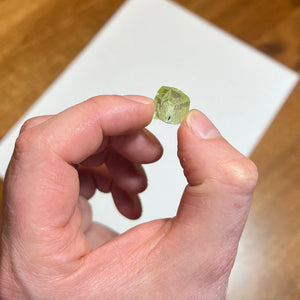 16.8ct Diopside Crystal