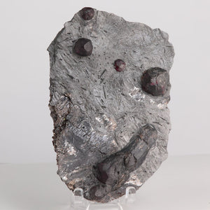 Red Embers Mine Mineral sample with dark garnet crystals on a gray background