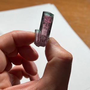 Bicolor Tourmaline Crystal Specimen
