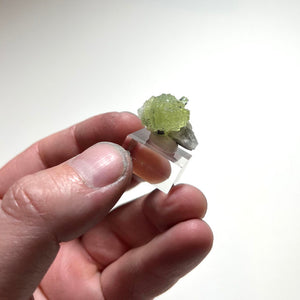 Green prehnite with purple tanzanite crystal