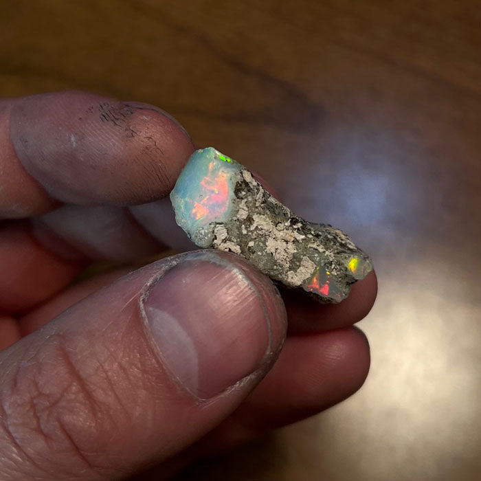 Opal Limb Cast